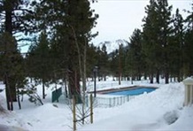 RedAwning Mammoth Green 208